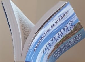 singur imotriva oceanului